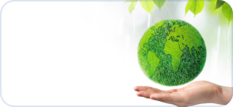 100% Eco-Friendly